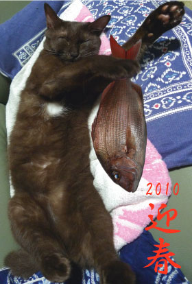 年賀状2010 2010年版年賀状